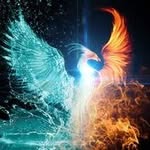 phoenix joly - @ryanjoly24380 - Instagram