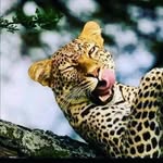 Ryan Julius - @rich_jay254 - Instagram