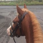 Jumper_ryan - @jumper_ryan - Instagram