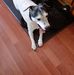 June Ryan - Facebook