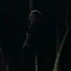 ryan jung - @ryan.jung - TikTok