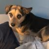 Ryan Kalish - @ryankalish387 - TikTok