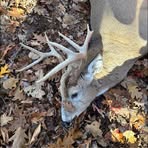 Ryan Kane - Facebook