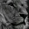 Ryan Kapp - @ryankapp103 - TikTok