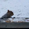 ryankarg130 - @ryankarg130 - TikTok