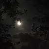 Ryanorfr_ - @ryankargo_ - TikTok