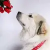 Ryan Keel878 - @user7667017758226 - TikTok
