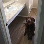 Ryan Keese - @ryankeese1254 - Instagram