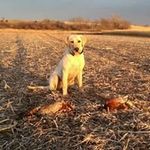 Ryan Kempf - @rjkempf9 - Instagram
