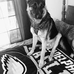 Ryan kerley - @kerley116 - Instagram