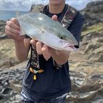 Ryan Kernaghan - @sunsetfishing_aus - Instagram