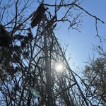 Joseph Randall Kertesz - @the_south_side_of_texas - Instagram