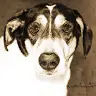 Ryann Kettelson - @ryannkettelson - TikTok