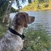 Ryan Kimes - Facebook