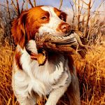 yeeyee - @ryan_kinard8 - Instagram