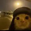 Drxft0nc@rrera - @ryankingman - TikTok