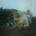 Ryan Kinne - Facebook