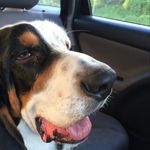 Ryan Kirchner - @argo_remus - Instagram