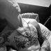 Jacob Ryan Klingensmith - Facebook