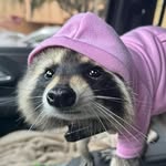 Ryan Klingensmith - @ry.klingensmith - Instagram