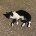 Ryan Klingler - Facebook