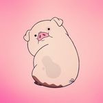 Ryan Knecht - @ryan.knecht.54 - Instagram