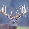 ryanknipp6 - @ryanknipp6 - TikTok