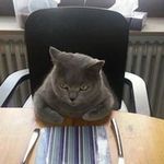 Ryan M Pekkala - @ryan_knockdowns - Instagram