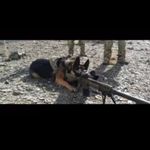 Ryan knopp - @knopp_ryan - Instagram