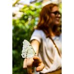 Ryan K Kocher - @rkkocher_jpeg - Instagram