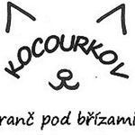 Kocourkov - ranc pod brizami - @kocourkov.rancpodbrizami - Instagram