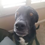 Ryan Koehler - @ryan.koehler.7583 - Instagram