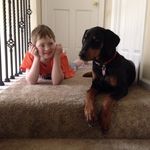 Ryan Koller - @ryanandbo - Instagram