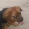 Ryan L. Koller - @ryanlkoller - TikTok