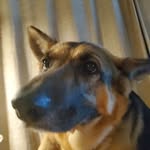Ryan Korte - @kortryan - Instagram