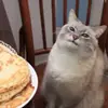 ryankorte65 - @ryankorte65 - TikTok