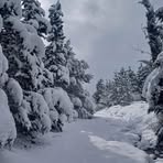 Reyyan Kasal - Facebook