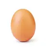 Ryan__Krause - @ryan__krause - TikTok