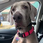 Ryan Krause - @krause802 - Instagram