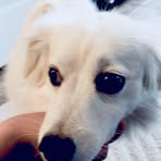 Ryan Krawczyk - Facebook