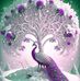 Reyyan Kumala - Facebook