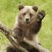 Ryan Kummer - Facebook