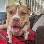 Ryan Kurz - @ryan.kurz.94 - Instagram