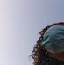Ryan Labelle - Facebook