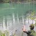 Ryan LaBelle - Facebook