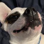 Ryan - @ryanlabrecque_ - Instagram