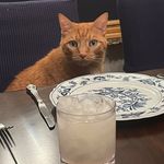 Ryan Ladner - @ryanladner04 - Instagram