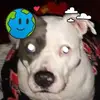 what s_new646 - @ryanlambsonjr - TikTok