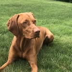 Allison Marie Lamprecht Ryan - @lamprechtryan - Instagram