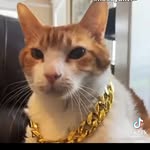 Ryan Lamprecht - @h3nteiweeb_ - Instagram
